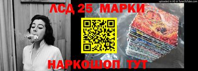 шишки Ставрополь