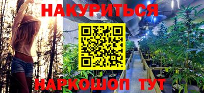 шишки Ставрополь