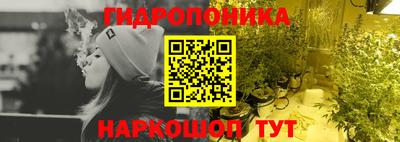 Альфа ПВП Сланцы