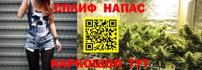шишки Ставрополь