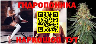 прущие крисы Славгород