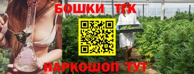 прущие крисы Славгород