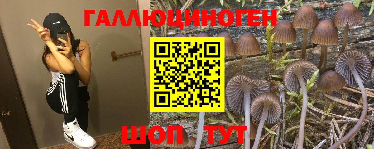 Псилоцибиновые грибы MAGIC MUSHROOMS Нефтекамск