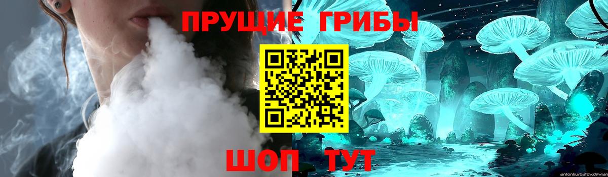 Псилоцибиновые грибы MAGIC MUSHROOMS  Вход с VPN  Нефтекамск 