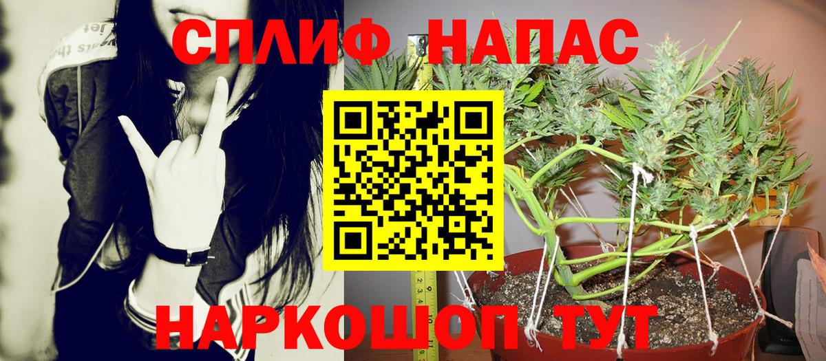 Бошки Шишки конопля Нефтекамск